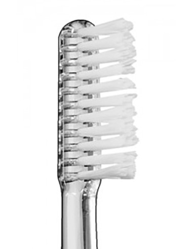 Vitis implant sulcular