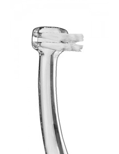 Vitis implant angular