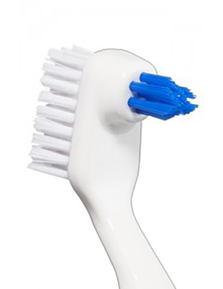 Vitis cepillo protesis