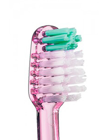 Vitis cep compact suav+aloe 15