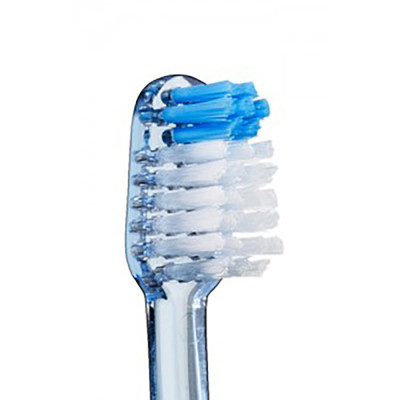 Vitis cep compact med+blanq 15 2