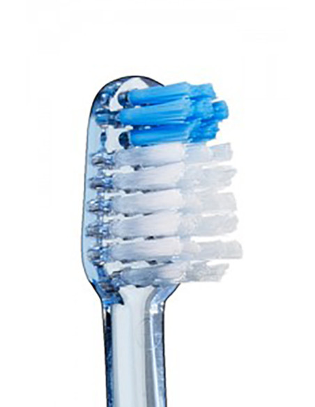 Vitis cep compact med+blanq 15