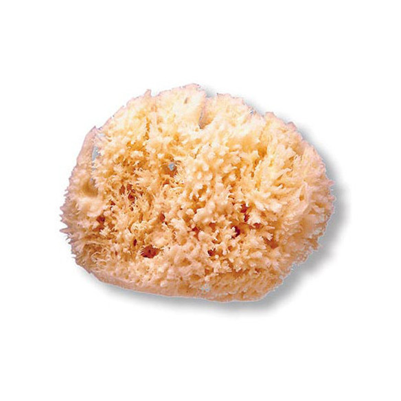 ESPONJA NATURAL SUAVINEX GD